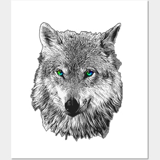 Wolf face Posters and Art